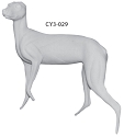 CY3-029